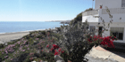 Campo Agave B&B Glamping