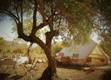 Camping Finca LaGarto Nederlandse camping Andalusië, op vakantie bij Nederlanders in Spanje